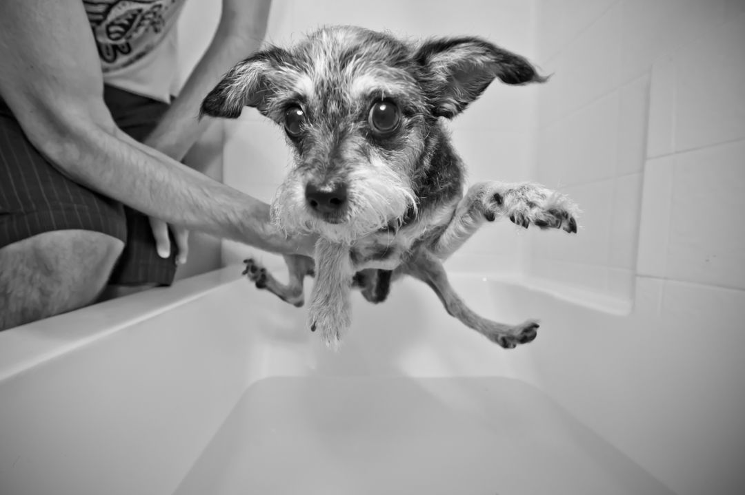 Lucy's Bath